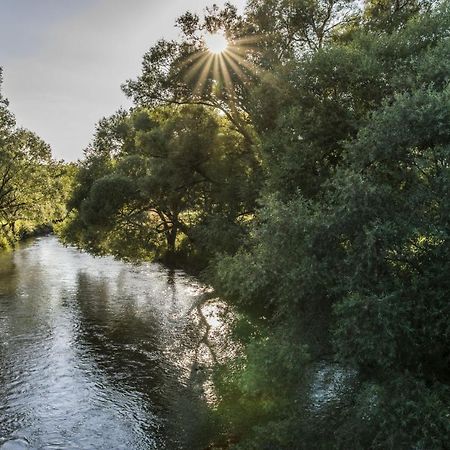 Ferienwohnung Jobst - Ruhig Mit Blick Ins Gruene Nittenau Bagian luar foto